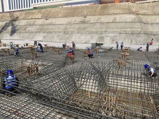 一群鸟在围栏里 AI 生成的内容可能不正确。